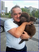 Превью фото № 208642