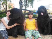 Превью фото № 208660