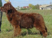 Превью фото № 208683