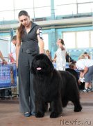 Превью фото № 208717