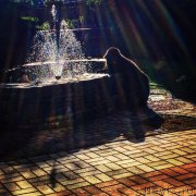 Превью фото № 208734