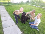 Превью фото № 208742