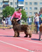 Превью фото № 208749