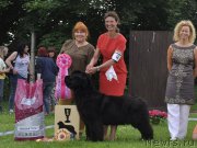 Превью фото № 208751