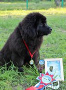 Превью фото № 208756