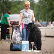 Превью фото № 208788