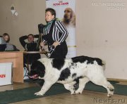 Превью фото № 208797