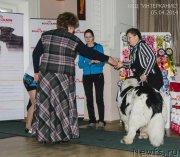 Превью фото № 208799