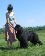 Превью фото № 208800