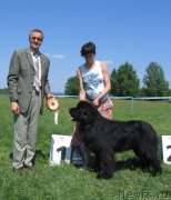 Превью фото № 208801