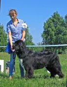 Превью фото № 208802