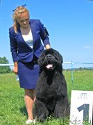 Превью фото № 208804