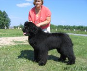 Превью фото № 208805