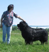 Превью фото № 208807