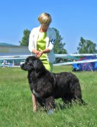 Превью фото № 208808