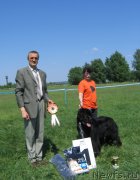 Превью фото № 208814