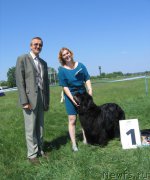 Превью фото № 208816