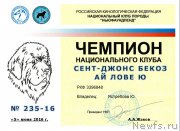 Превью фото № 208845