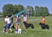 Превью фото № 208863