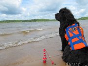 Превью фото № 208864