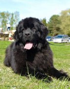 Превью фото № 208906