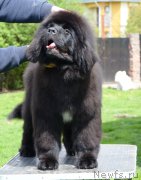 Превью фото № 208947