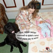 Превью фото № 208975