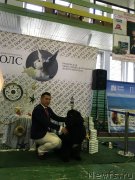 Превью фото № 208985