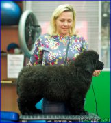 Превью фото № 209023