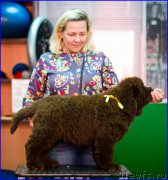 Превью фото № 209031