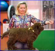 Превью фото № 209032