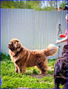 Превью фото № 209038