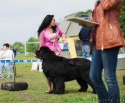Превью фото № 209082