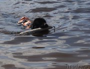 Превью фото № 209094