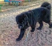 Превью фото № 209100