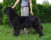 Превью фото № 209110