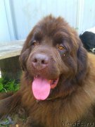 Превью фото № 209111