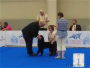 Превью фото № 209338