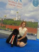 Превью фото № 209340