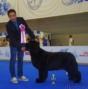 Превью фото № 209366