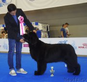 Превью фото № 209367