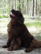 Превью фото № 209406