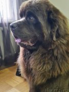 Превью фото № 209433