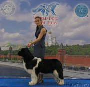 Превью фото № 209437