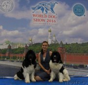 Превью фото № 209440