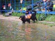 Превью фото № 209464