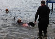 Превью фото № 209504