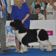 Превью фото № 209509