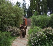 Превью фото № 209540