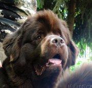 Превью фото № 209542